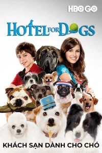 Khách Sạn Dành Cho Chó