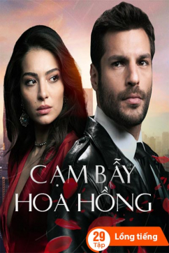 Cạm Bẫy Hoa Hồng