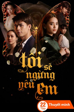 Tôi Sẽ Ngừng Yêu Em