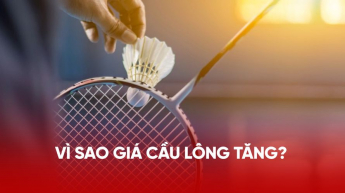 Vì sao giá cầu lông tăng? 